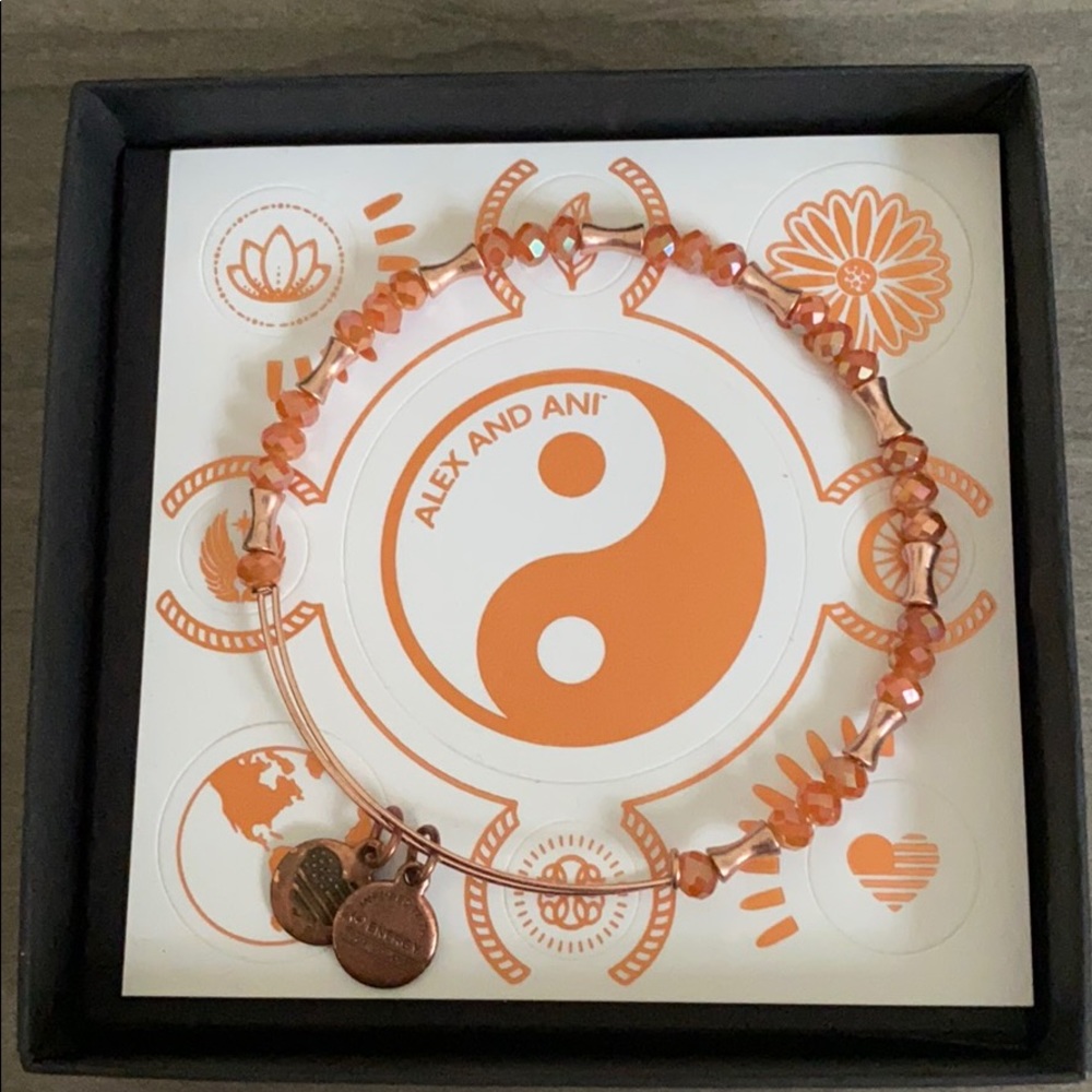 Alex and Ani bracelet